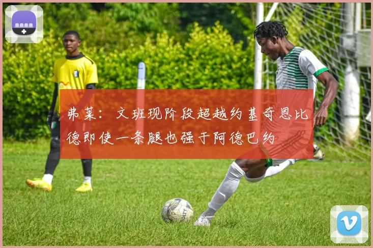 弗莱：文班现阶段超越约基奇恩比德即使一条腿也强于阿德巴约