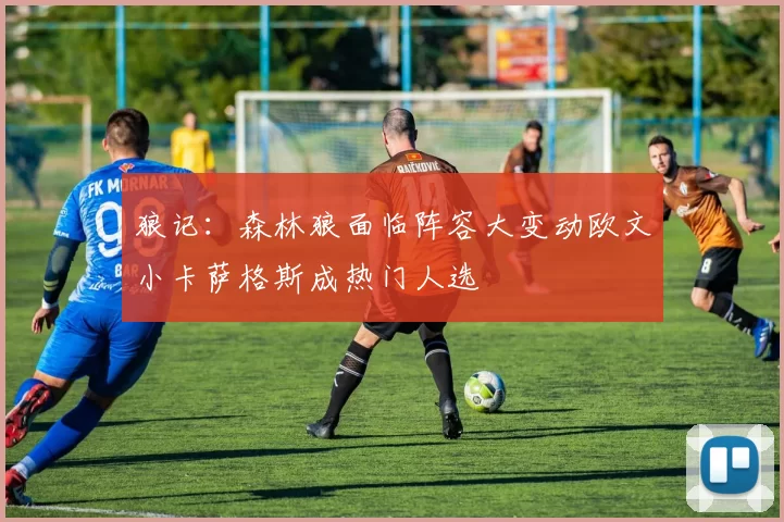 狼记：森林狼面临阵容大变动欧文小卡萨格斯成热门人选